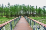 福州首个海绵公园——牛岗山公园对外开放 - 福州新闻网