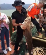 福建渔船捕获122斤巨型黄唇鱼 被土豪347万买走 - 新浪
