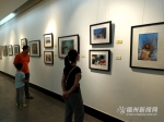 全国历届中小学生艺术展演美术获奖作品在福州画院免费开放 - 福州新闻网