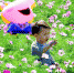 福州花海公园内波斯菊绽放 游客徜徉花海观赏拍照 - 新浪