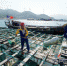 连江：清理海漂垃圾　守护蔚蓝海洋 - 福州新闻网