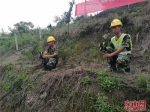 武警交通部队迅速出动处置福建省永泰县滑坡险情 - 福州新闻网
