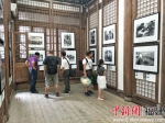 喜迎十九大影像“中国梦”摄影艺术展吸引了众多市民驻足欣赏。林玲 摄 - 福建新闻