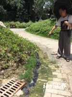外围民房排污入园南公园景点冒污水　实在煞风景 - 福州新闻网