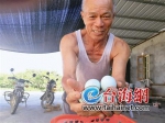 ◆富硒鸡蛋帮农户脱贫致富 - 新浪