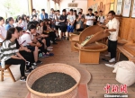 台湾青年体验福州茉莉花茶文化“激荡火花” - 福州新闻网