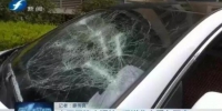 漳州男子车停小区被人砸碎车窗 物业：误停他人车位 - 新浪