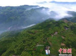 福建：三位一体“生态司法”夯筑中国“最绿省份” - 福建新闻