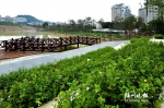 福州井店湖公园绿化基本完工　乔木品种十分丰富 - 新浪