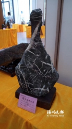 平潭展出300多块奇石　有二三十个品种展期5天 - 新浪