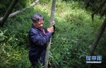 范夏平：为熊猫送竹子的人 - 福州新闻网