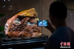 百余种寿山珍稀石种福州展出　引众市民观赏 - 福州新闻网