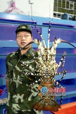 漳州东山渔民捕获中华锦绣龙虾 比男子手臂还粗 - 新浪