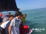 渔民误捕绿海龟放归大海：150多公斤重 系濒危物种 - 福州新闻网