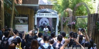 世界明星大熊猫“巴斯”的离世引来了许多媒体关注。 - 新浪