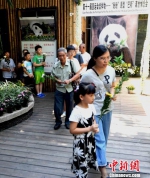海内外人士悼念“全球最长寿圈养大熊猫”巴斯离世 - 福州新闻网