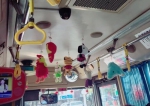 榕“童心公交车”布置玩偶 让乘客开心让车厢温馨 - 新浪