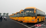 上海迪士尼接驳车——金龙纯电动XMQ6110C - 福建新闻