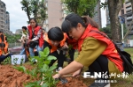 绿化罗源　党员志愿者在行动 - 福州新闻网