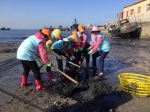 石狮60多名志愿者清理滩涂上的垃圾 3年清理740吨 - 新浪