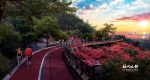 马尾天马山生态公园动建　新建1.35公里步道力争明年春节前开放 - 福州新闻网
