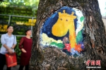福州校园手绘“树洞画”惟妙惟肖 - 福州新闻网