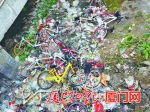 前埔社区前村581号附近，单车被丢放在污水渠边。（本报记者 陆晓凤 摄） - 新浪