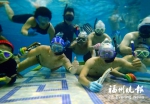 福州厦门爱好者玩转“水下曲棍球” - 福州新闻网