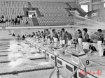 榕中小学生游泳联赛精彩纷呈 489名小将泳池争雄 - 福州新闻网