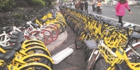 中心市区共享单车总量处于饱和状态，禁止新增投放。 - 新浪