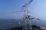 福州：高空“超人”带电修补电缆 - 福州新闻网