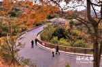 罗源凤梅生态公园春节前开园　步道伸巨臂拉起凤山和梅岭 - 福州新闻网