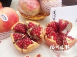 西安精品水果在榕展示推介 - 福州新闻网