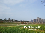 福清市民生态休闲公园：健身休闲两不误 龙江美景入画来 - 福州新闻网