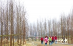 连江含光生态公园春节前开放 打造“一寺一塔一江一湿地”景观带 - 福州新闻网