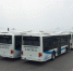 304台智能公交车在厦门码头整装待发 - 福建新闻