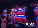 春节前福州金鱼热销　一个月的销量赶上全年一半 - 福州新闻网