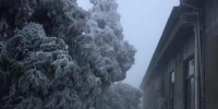 闽清白樟腹桂山出现积雪。（来源@福州气象 池圣禹摄） - 新浪