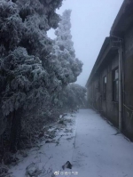 闽清白樟腹桂山出现积雪。（来源@福州气象 池圣禹摄） - 新浪