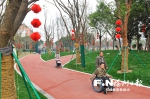 台江体育公园：健身绿荫中　台江诗意浓 - 福州新闻网