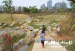 晋安公园：绿廊连两园　海绵处处藏 - 福州新闻网
