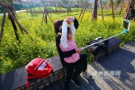 串珠“姐妹园”迎客 福州第二批42个串珠公园春节开放 - 福州新闻网