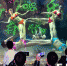 游公园赏水下芭蕾盛宴 - 福州新闻网