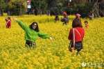 福州花海公园百亩油菜花盛开 - 福州新闻网