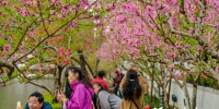 福州：“花花世界”春意浓　“按图索花”出游去 - 福州新闻网