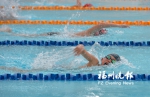 游泳俱乐部大联盟 全国联赛在榕打响 - 福州新闻网