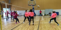南平:“三八”妇女节气排球比赛 审计巾帼赛出运动风彩 - 审计厅