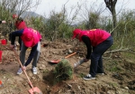 福建省审计厅开展植树造林志愿服务活动 - 审计厅