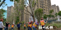 六一佳园榕树主题园下月建成　面积约2万平方米 - 福州新闻网