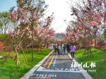 连江香江公园对外开放 - 福州新闻网